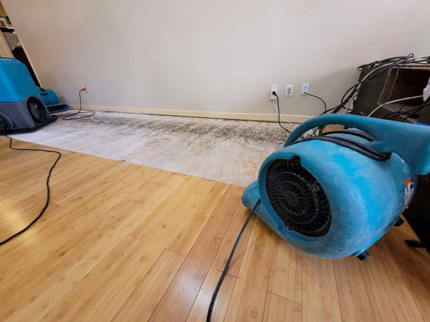 Professional Sewage Cleanup technician working in South Pasadena, FL
